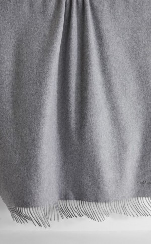 Bufandas Max Mara Cashmere Stole With Embroidery Gris Claro | MMR594278