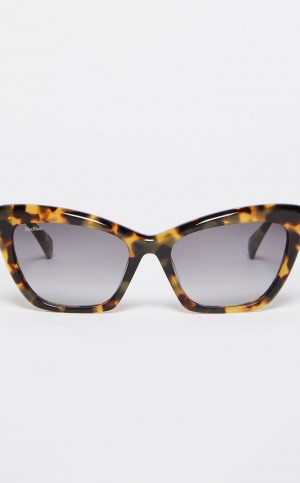 Gafas de Sol Max Mara Cat-eye Marrones | MMR594298