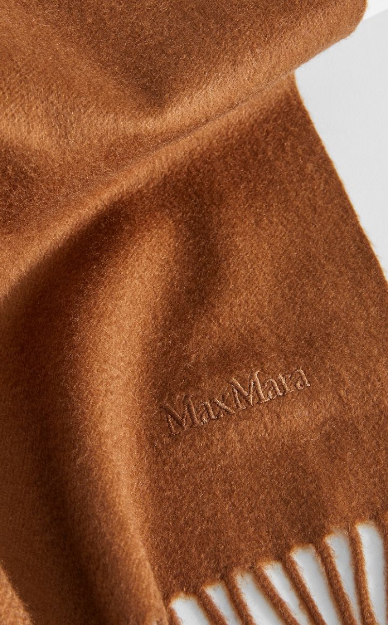 Bufandas Max Mara Cashmere Stole With Embroidery Marrones | MMR594273