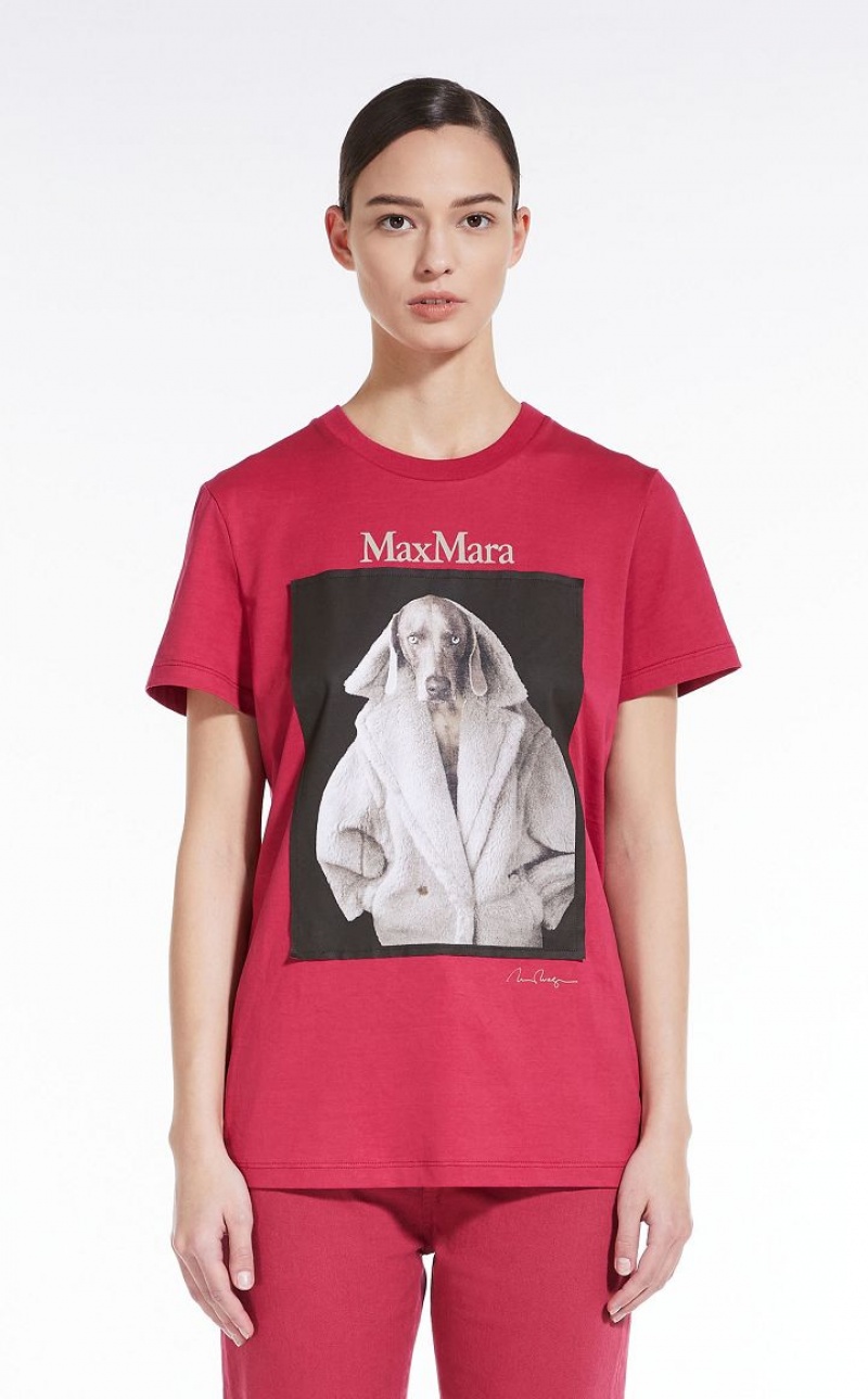 T-shirt Max Mara Algodon With Wegman Print Rosas | MMR593659