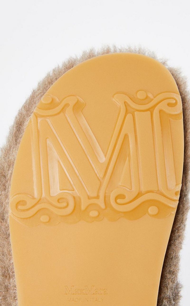 Zapatos Planos Max Mara Teddy Mules Marrones | MMR594218